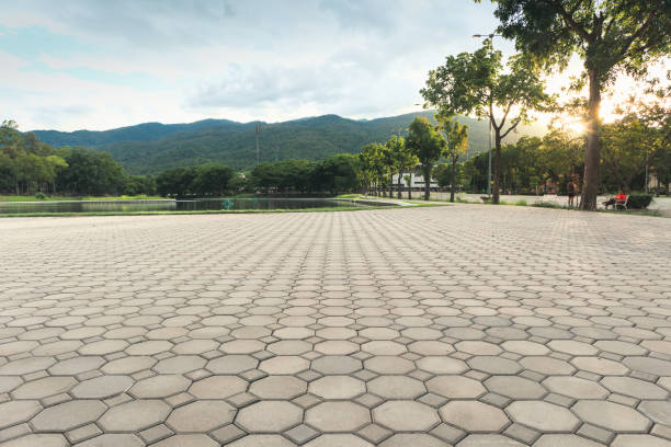 Best Custom Driveway Pavers  in Rainbow, CA